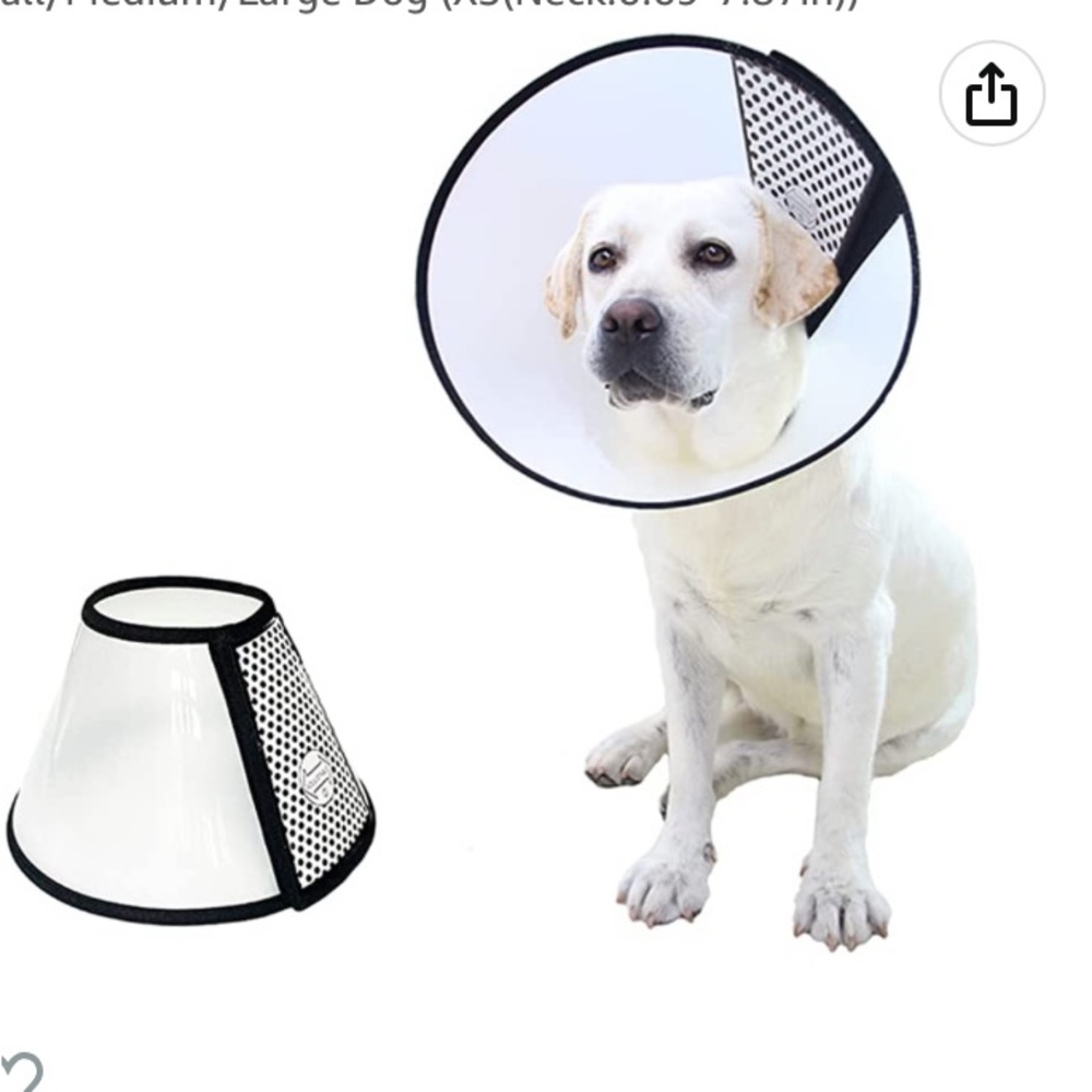 NWT Dog Surgical Recovery Cone, Sz LG or XS